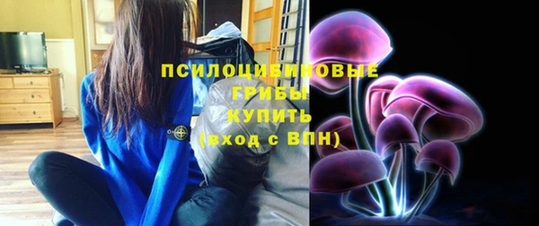 хмурый Сосновка