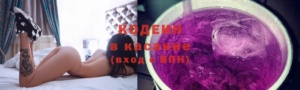шишки Сосновый Бор