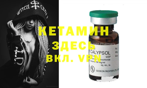 шишки Сосновый Бор