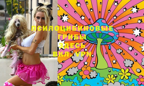 марки lsd Верхний Тагил