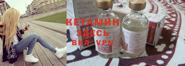 шишки Сосновый Бор