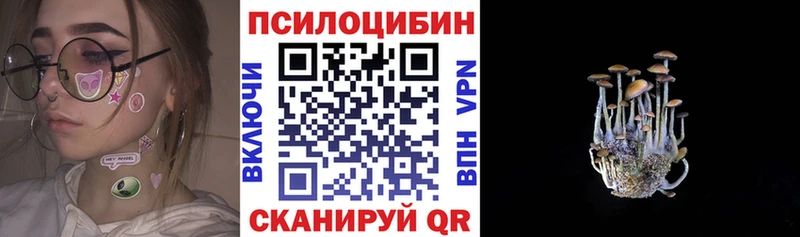 Галлюциногенные грибы Cubensis  Шимановск 